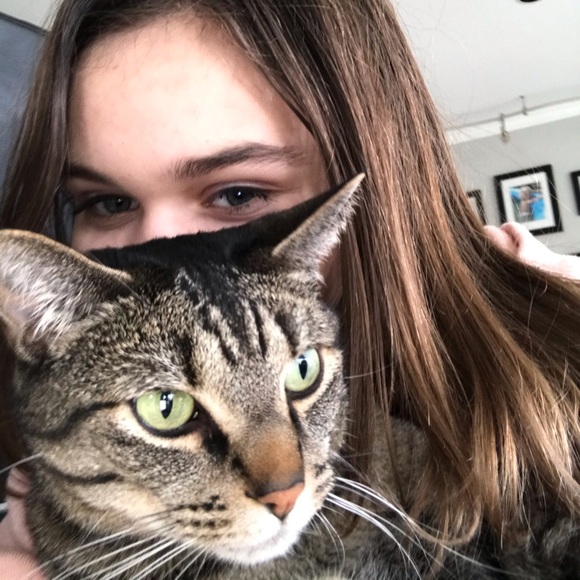 Meet your Posher, Nova - Picture 1 of 1